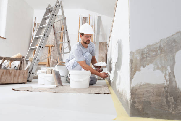 Best Stucco Painting  in Lighthouse Point, FL